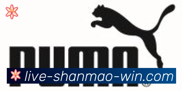 山猫直播官网合作伙伴
